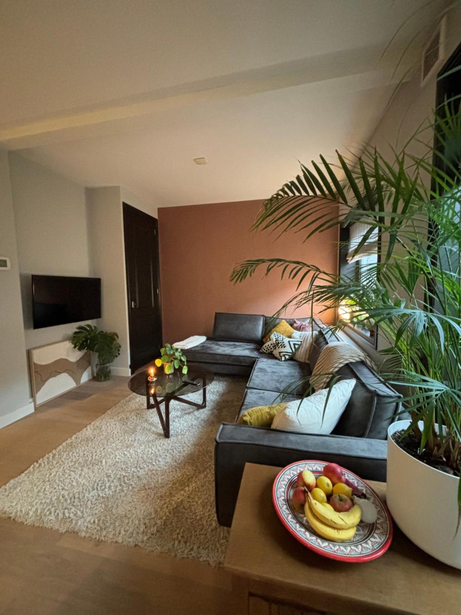 Apartment Zuid Amsterdam